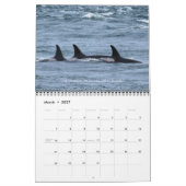 Kalender 2024 für den südlichen Killerwal (Mär 2027)