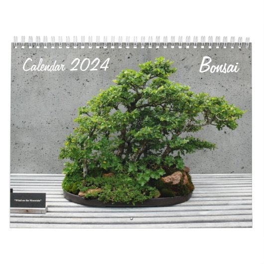 Kalender 2024 mit Bonsai (Titelbild)
