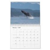 Kalender 2024 mit Humpback Whales (Feb 2027)