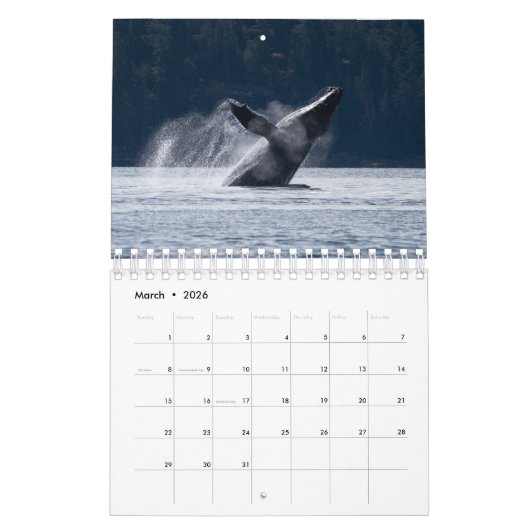 Kalender 2024 mit Humpback Whales (Mär 2026)