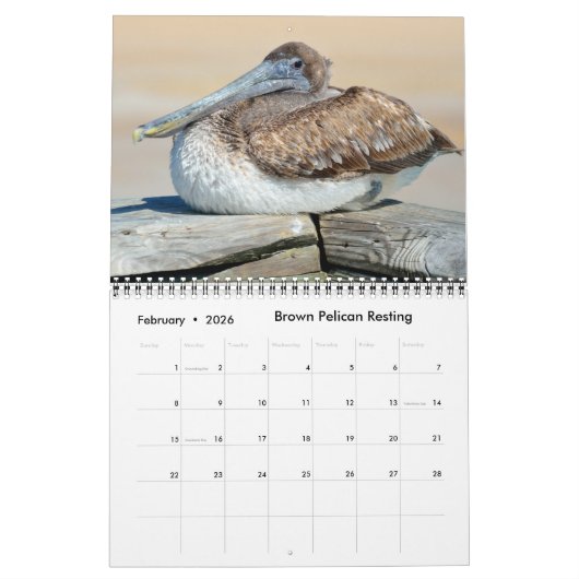 Kalender 2024 Naturbilder (Feb 2026)