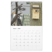 Kalender 2024 Vogelarten im Hinterhof (Mär 2027)