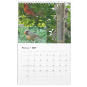 Kalender 2024 Vogelarten im Hinterhof (Feb 2027)