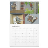 Kalender 2024 Vogelarten im Hinterhof (Jan 2027)