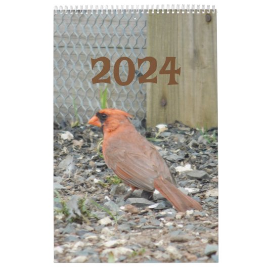 Kalender 2024 Vogelarten im Hinterhof (Titelbild)