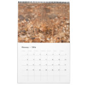 Kalender 2024 - Wasserinsekten (Feb 2026)