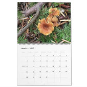 Kalender 2025 (Mär 2027)