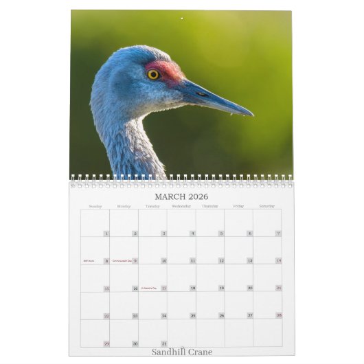 Kalender 2025 (Mär 2026)