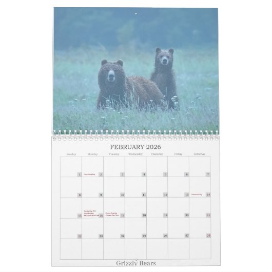 Kalender 2025 (Feb 2026)