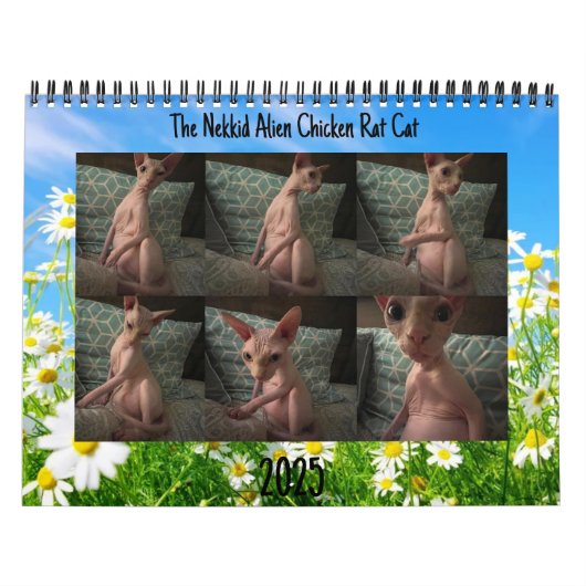 Kalender 2025 (Titelbild)