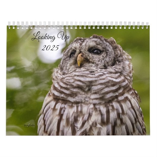 Kalender 2025 (Titelbild)