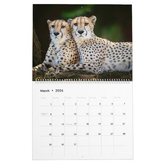 Kalender 2025 (Mär 2026)