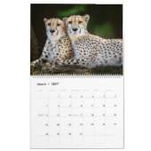 Kalender 2025 (Mär 2027)