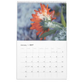 Kalender 2025 behalten (Jan 2027)