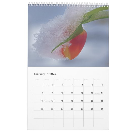 Kalender 2025 behalten (Feb 2026)