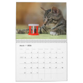 Kalender 2025 Cat Lover Katzen (Mär 2026)