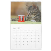 Kalender 2025 Cat Lover Katzen (Mär 2027)
