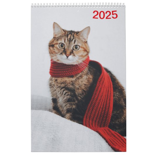 Kalender 2025 Cat Lover Katzen (Titelbild)