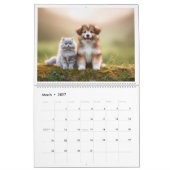Kalender 2025, dog&cat (Mär 2027)