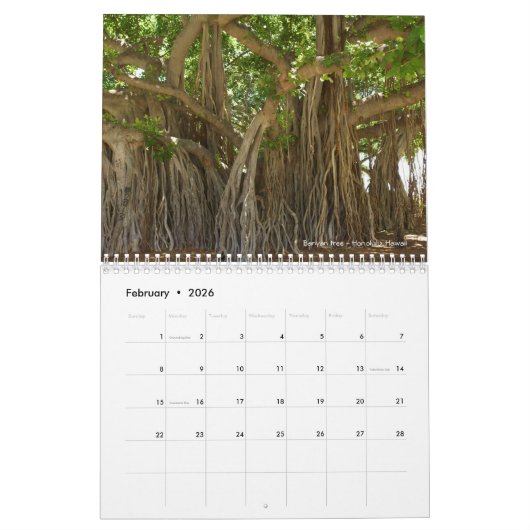 Kalender 2025 Einmalige Baumfotografien individuel (Feb 2026)