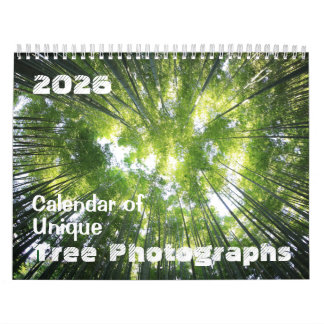 Kalender 2025 Einmalige Baumfotografien individuel