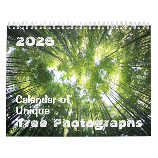 Kalender 2025 Einmalige Baumfotografien individuel (Titelbild)