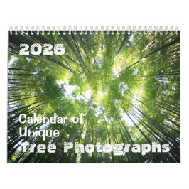 Kalender 2025 Einmalige Baumfotografien individuel