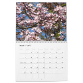 Kalender 2025 Einmalige Baumfotografien individuel (Mär 2027)