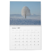 Kalender 2025 Einmalige Baumfotografien individuel (Jan 2027)