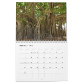 Kalender 2025 Einmalige Baumfotografien individuel (Feb 2027)