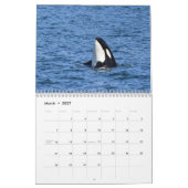 Kalender 2025 für den südlichen Killerwal (Mär 2027)