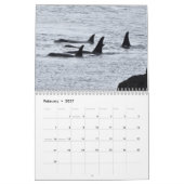 Kalender 2025 für den südlichen Killerwal (Feb 2027)