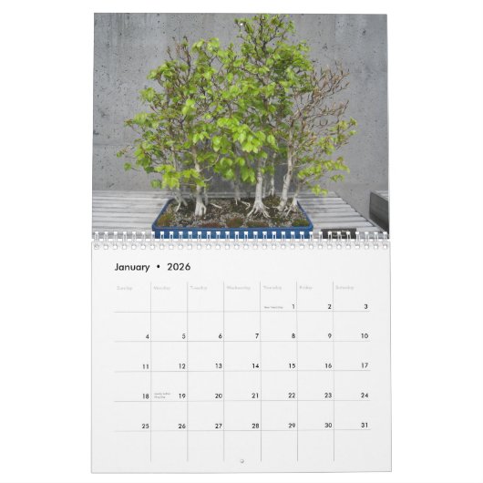 Kalender 2025 mit Bonsai (Jan 2026)