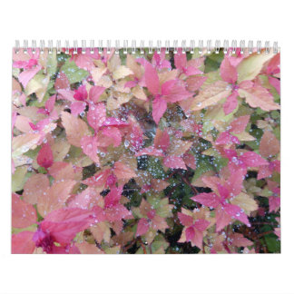 Kalender 2025 mit naturwissenschaftlichen Fotos