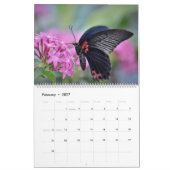 Kalender 2025 mit Schmetterlingssäule (Feb 2027)
