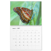 Kalender 2025 mit Schmetterlingssäule (Mär 2027)