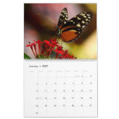 Kalender 2025 mit Schmetterlingssäule (Jan 2027)