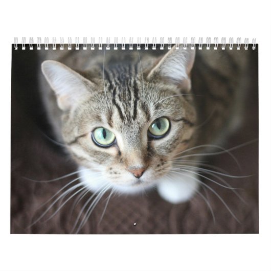Kalender 2025 Pfeifen und Whiskers (Titelbild)