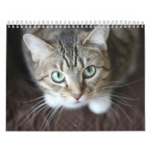 Kalender 2025 Pfeifen und Whiskers (Titelbild)