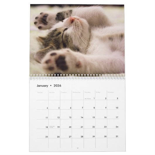 Kalender 2025 Pfeifen und Whiskers (Jan 2026)