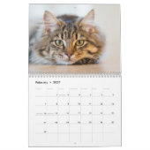 Kalender 2025 Pfeifen und Whiskers (Feb 2027)