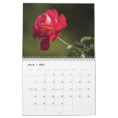 Kalender 2025 - Rote Blume (Mär 2027)