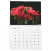 Kalender 2025 - Rote Blume (Jan 2027)