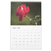Kalender 2025 - Rote Blume (Mär 2027)