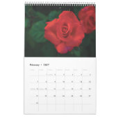 Kalender 2025 - Rote Blume (Feb 2027)