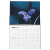 Kalender 2025 violette Blume (Mär 2027)