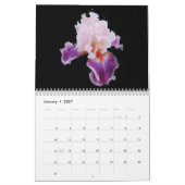 Kalender 2025 violette Blume (Jan 2027)