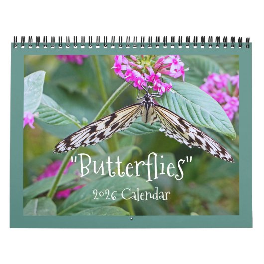KALENDER 2026 "BUTTERFLIES" (Titelbild)