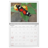 KALENDER 2026 "BUTTERFLIES" (Mär 2027)