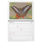 KALENDER 2026 "BUTTERFLIES" (Feb 2027)